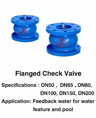 Havuz Çeşmesi Aksesuarları Rafine DN25 1 İnç Flanşlı Çek Valf