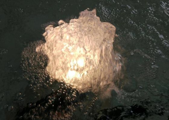 Lambalı 80 L / M 1 İnç Dans Çeşmesi Jet Nozulu